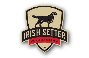 Irish-Setter